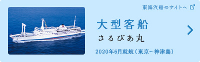 大型客船「さるびあ丸」（東海汽船のサイトへ）