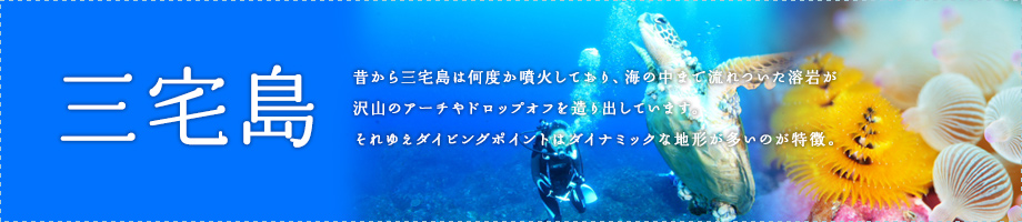 三宅島～周囲５４キロ伊豆七島の中で最も大きな島です。黒潮の影響をタップリ受ける伊豆三宅島の海は、様々な生き物達で満ち溢れています。