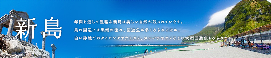 年間を通して温暖な新島は美しい自然が残されています。島の周辺には黒潮が流れ、回遊魚が多くみられるほか、白い砂地でのダイビングやウミガメ、カンパチやサメなどの大型回遊魚もみられます。 