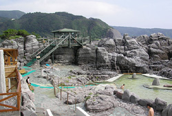 神津島（船中1泊+民宿1泊）体験ダイビング・1ダイブ付きプラン 3