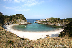 式根島（船中1泊+民宿1泊）体験ダイビング・1ダイブ付きプラン 1